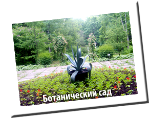 Ботанический сад